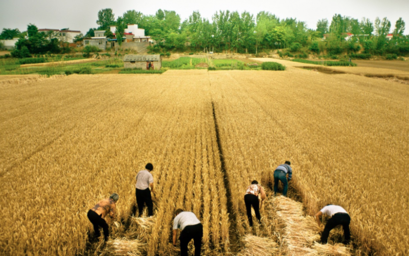 NYFF 2020 Highlights | Making Film Fests Look Good Amid A Pandemic